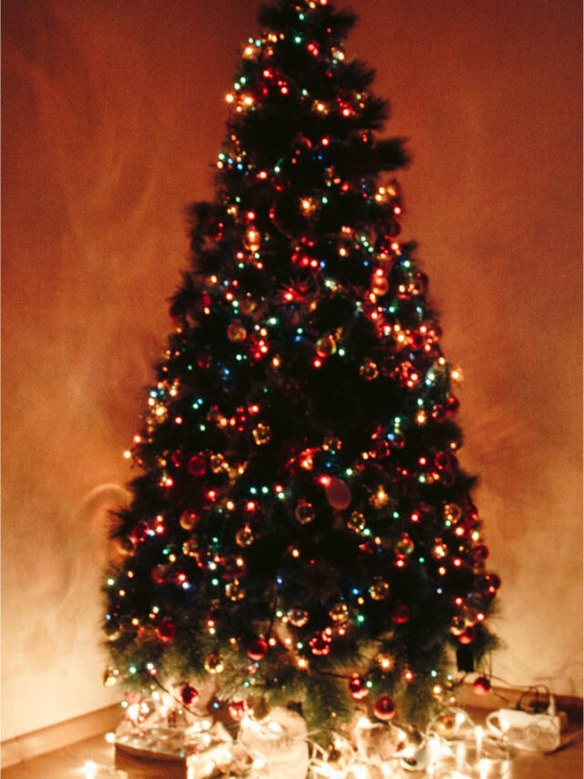 Decorate Christmas tree Beautifully and Professionally