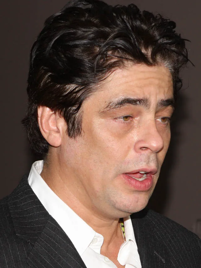 10 Surprising Benicio Del Tore facts